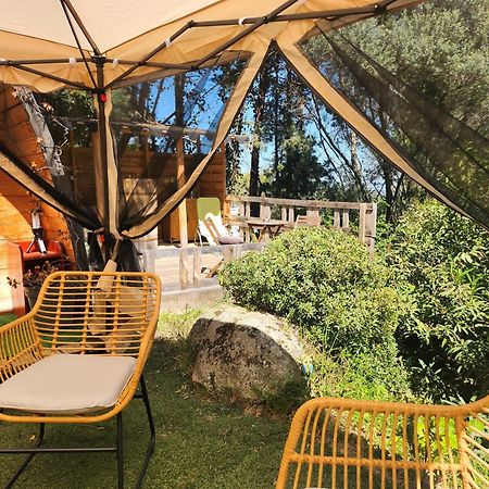Coin Exotique Villa Casaeva ポルトヴェッキオ エクステリア 写真